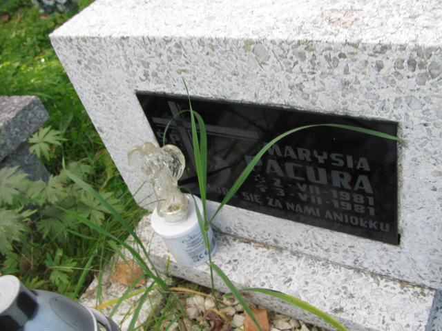Maria Pacura 1981 Brzesko - Grobonet - Wyszukiwarka osób pochowanych