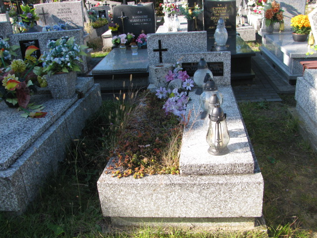 Grób Franciszek Pająk