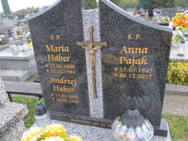 Maria Haber 1906 Brzesko - Grobonet - Wyszukiwarka osób pochowanych