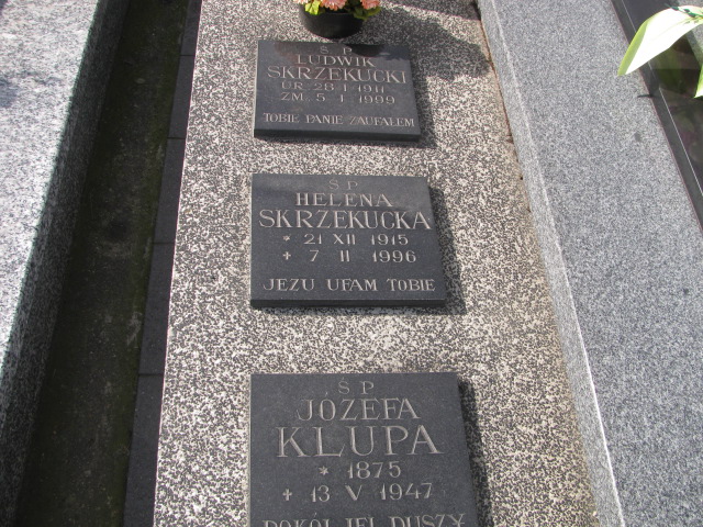 Helena Skrzekucka 1915 Brzesko - Grobonet - Wyszukiwarka osób pochowanych